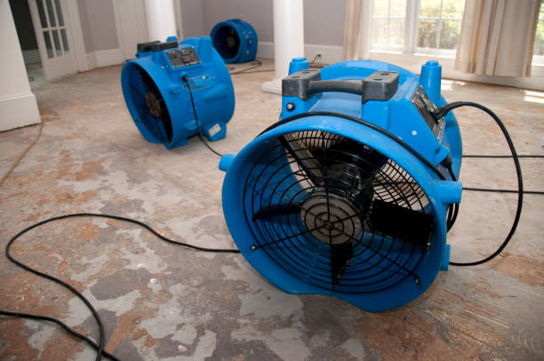Best Water damage restoration process  in Waikapu, HI
