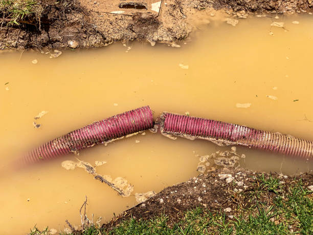 Water damage restoration mold remediation in HI