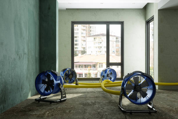 Best Fire Damage Restoration  in Waikapu, HI