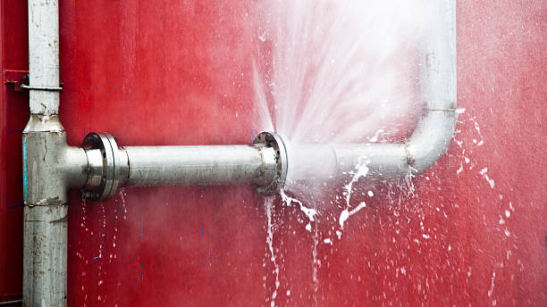 Best Water damage contractors near me  in Waikapu, HI